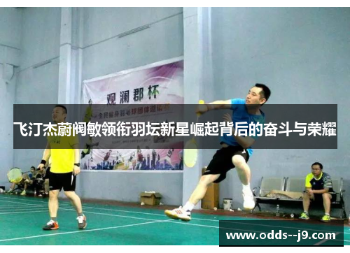 飞汀杰蔚阀敏领衔羽坛新星崛起背后的奋斗与荣耀