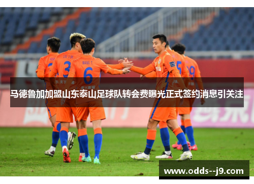 马德鲁加加盟山东泰山足球队转会费曝光正式签约消息引关注 马德鲁加加盟山东泰山足球队转会费曝光正式签约消息引关注