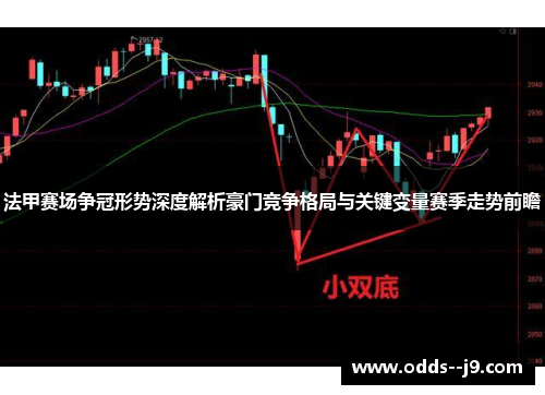 法甲赛场争冠形势深度解析豪门竞争格局与关键变量赛季走势前瞻 法甲赛场争冠形势深度解析豪门竞争格局与关键变量赛季走势前瞻